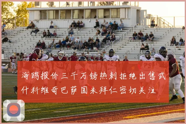 海鸥报价三千万镑热刺拒绝出售武什科维奇巴萨国米拜仁密切关注